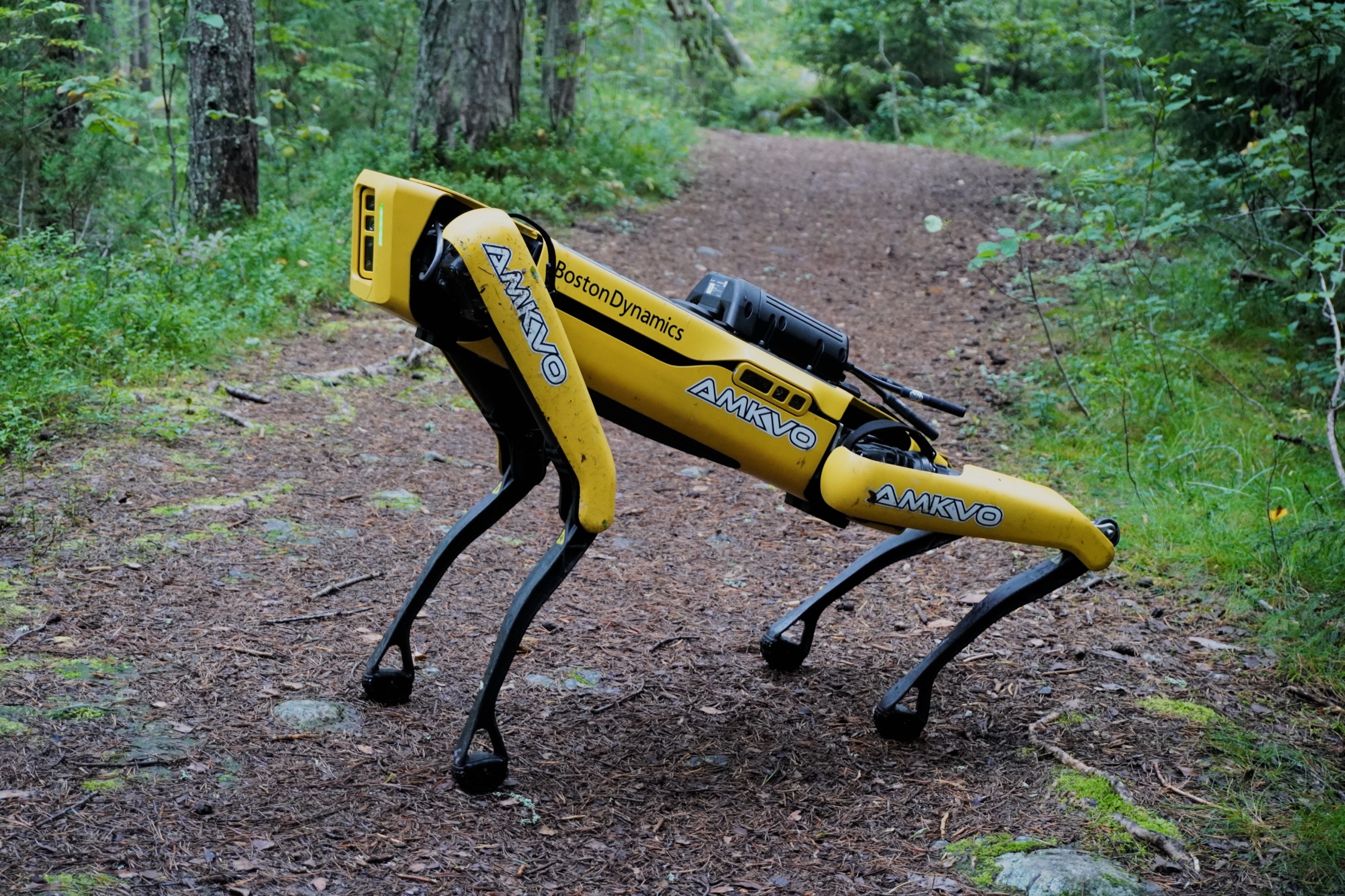 Figure 11.3: Boston Dynamics Spot — the quadruped commercialization lineage. A proving ground for hardware and software assets that Atlas later inherited. — source: Wikimedia Commons (CC BY), fair use for academic review