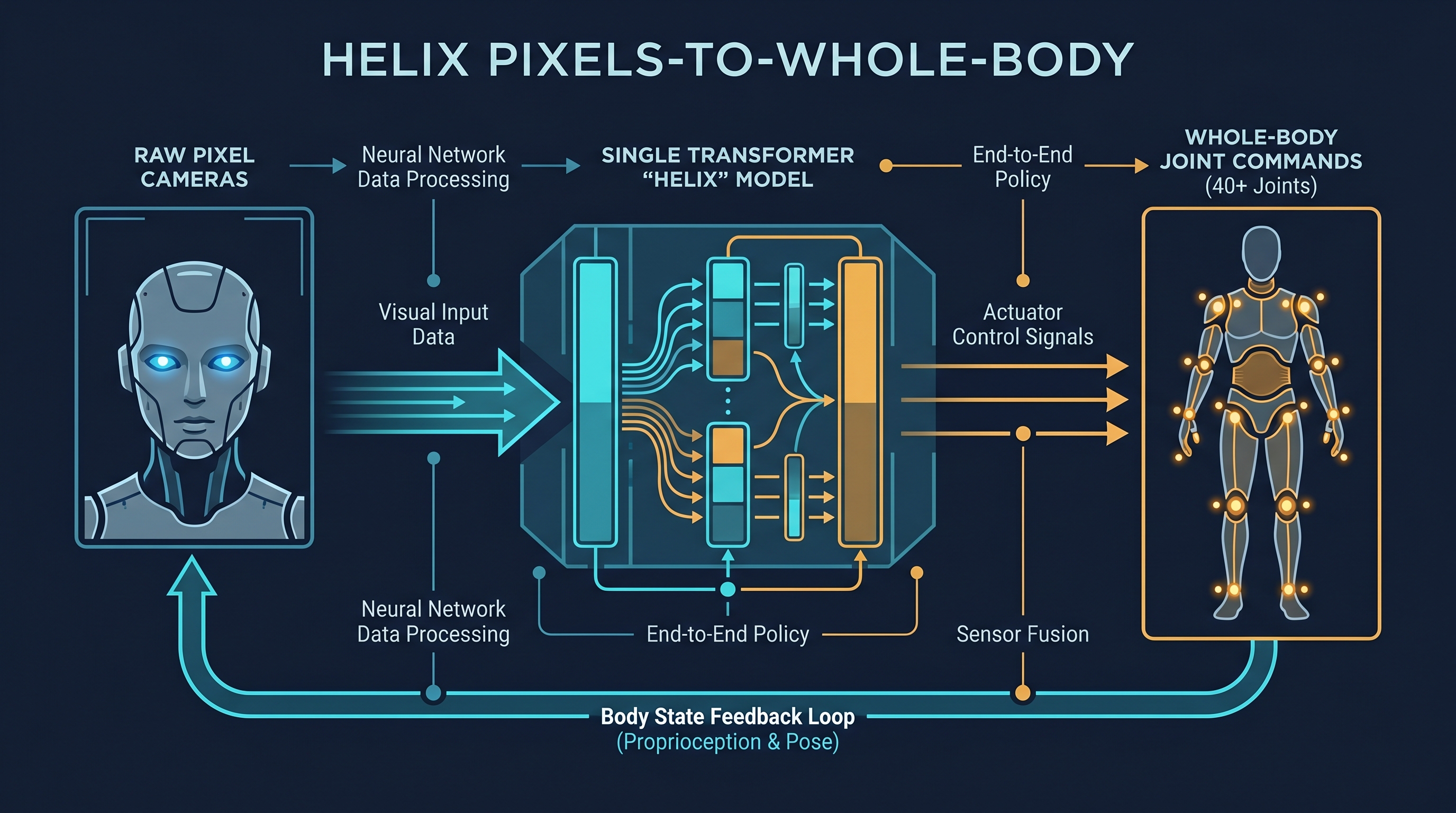 Figure 12.4: Figure Helix end-to-end data flow — pixels → single Transformer → whole-body joint commands. Often cited as the "end-to-end showcase" of the System 0/1/2 architecture. — illustration by author (Gemini assisted)